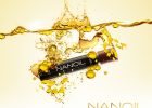 Nanoil for low porosity hair